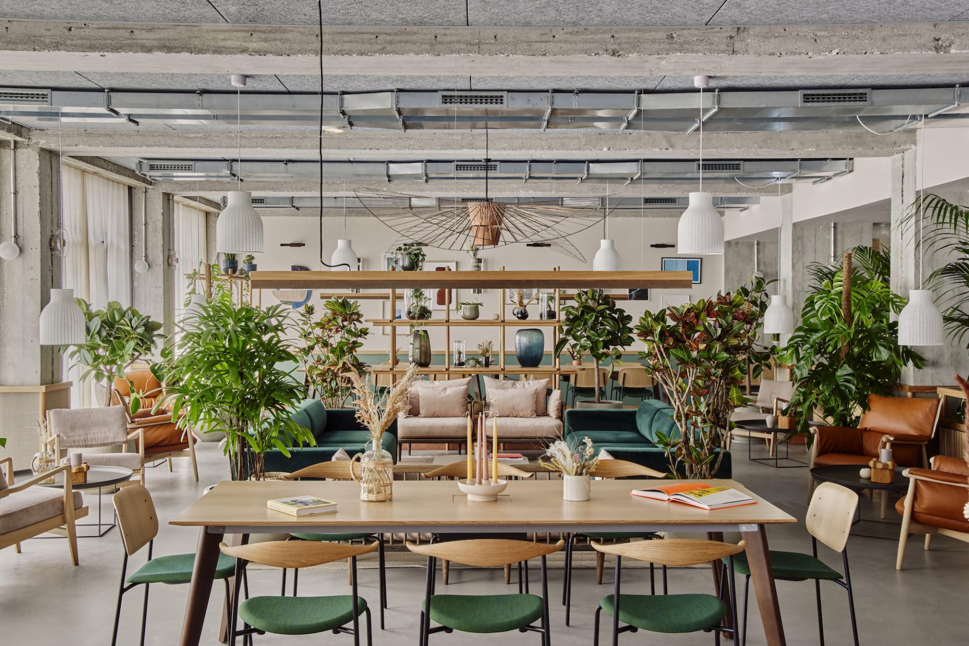 Stylish communal lounge area at WunderLocke in Munich, featuring greenery, modern furniture, and inviting natural lighting.