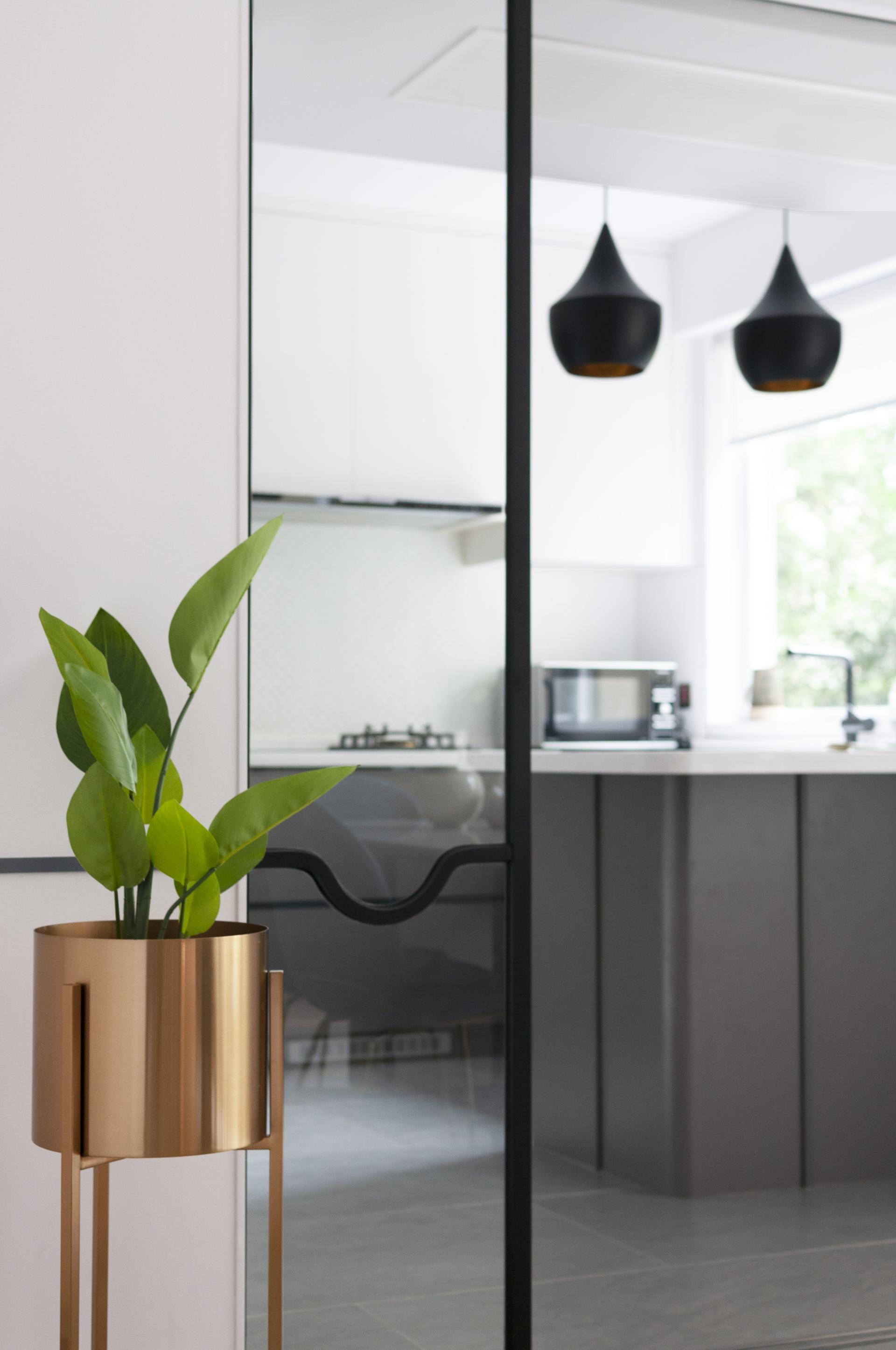 Modern apartment interior featuring a decorative plant, sleek design elements, and contemporary kitchen in Beau Cloud Mansion.