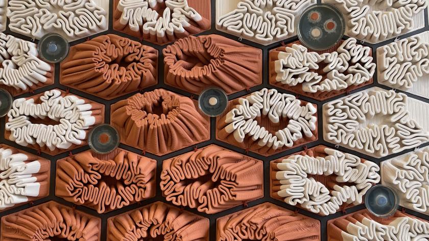 Future Materials Library™ launches at Material Source Studio.