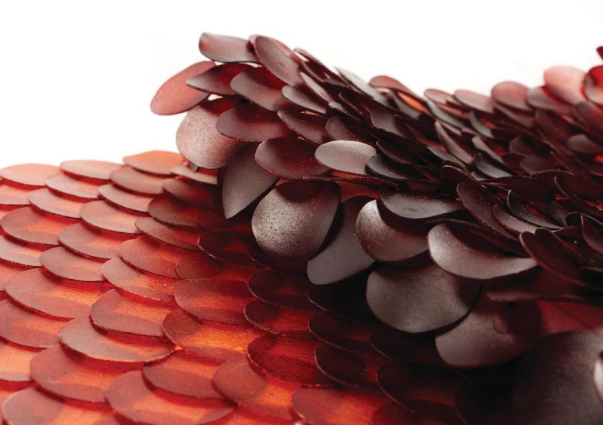 Carolyn Raff on biomaterials, sustainable manufacturing and baking sequins.