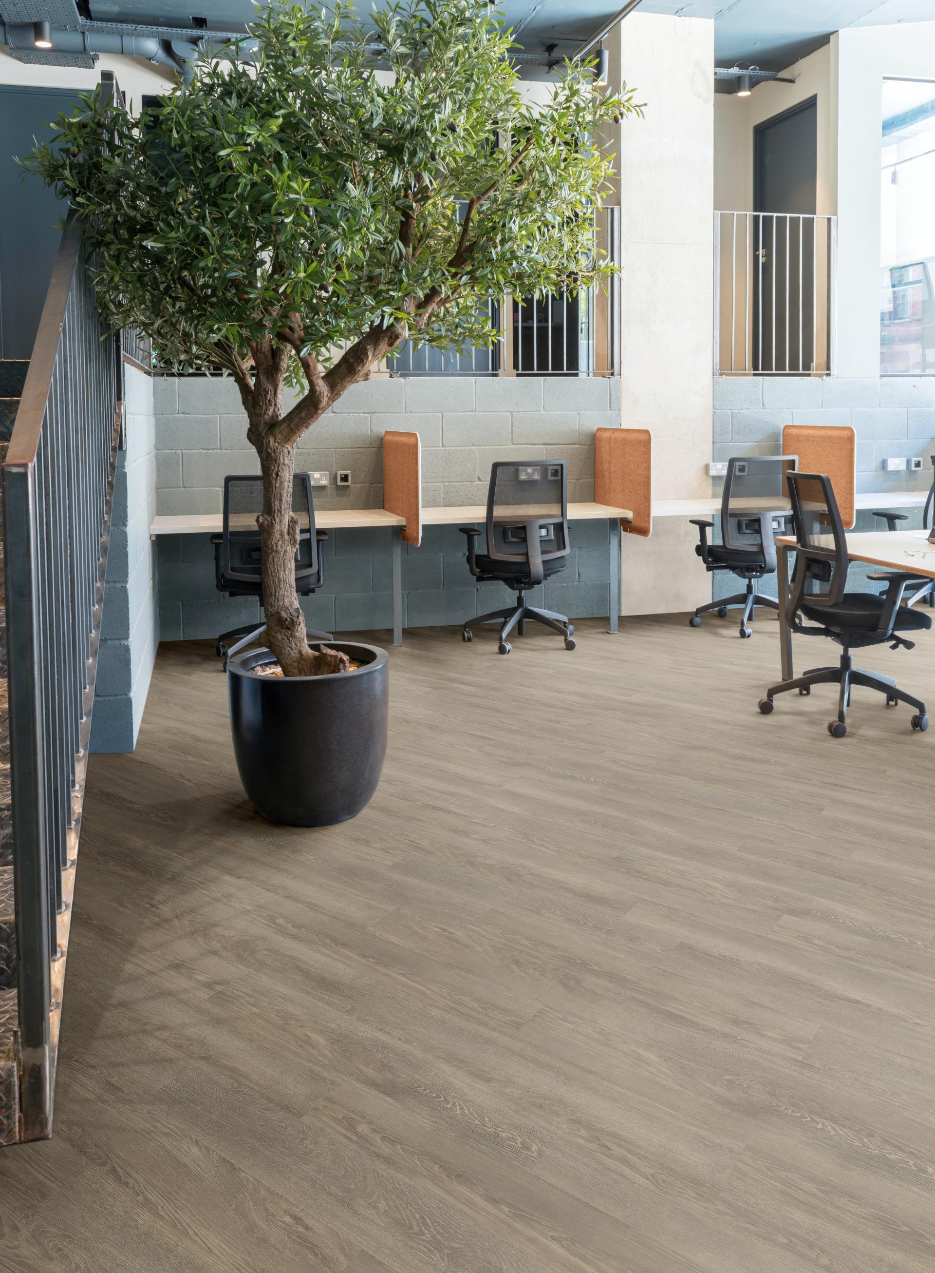 Modern workspace featuring bio-attributed LVT flooring, an indoor tree, and ergonomic chairs enhancing eco-friendly design.