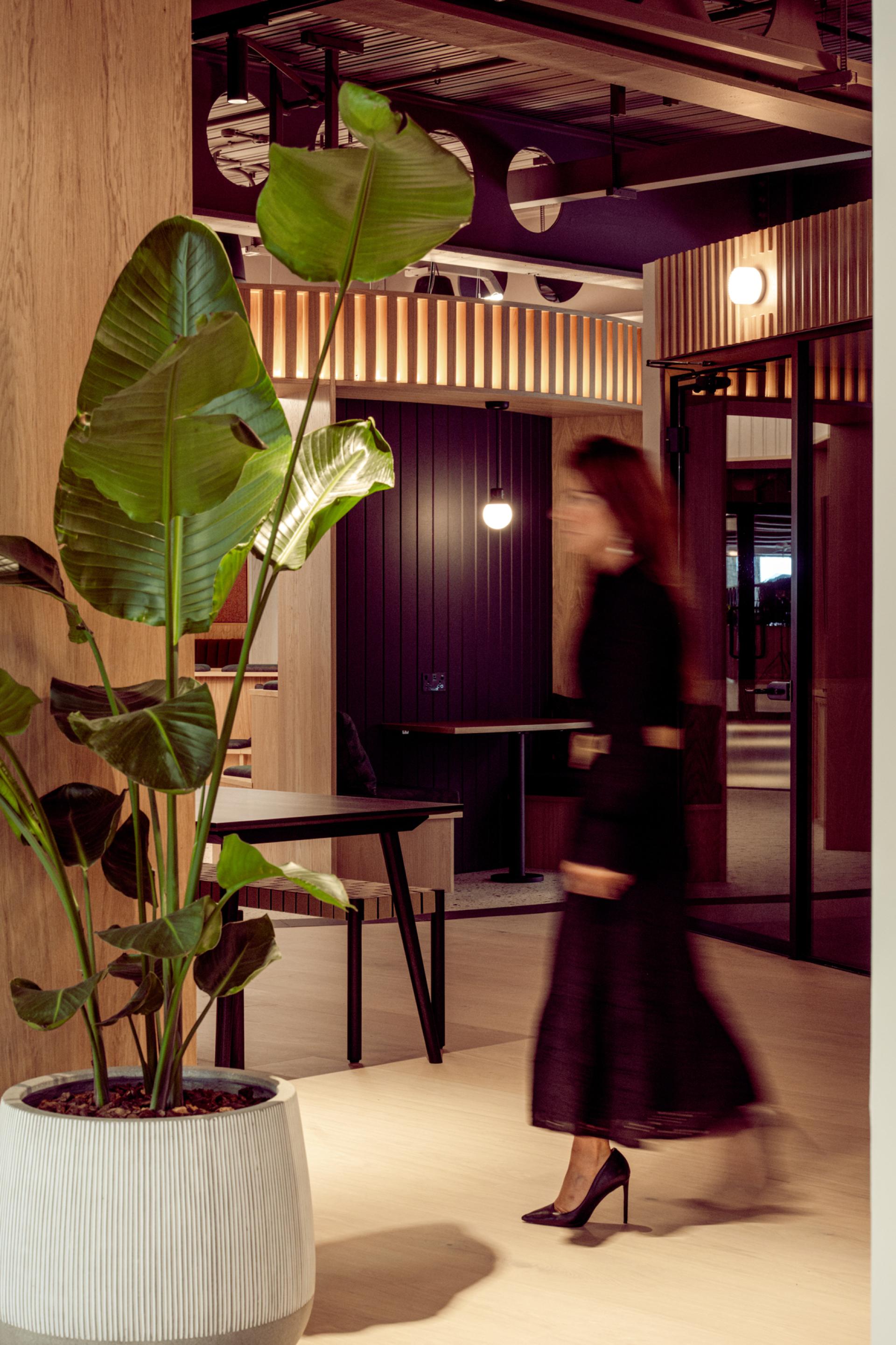 Modern Edinburgh workspace featuring greenery and stylish decor, reflecting Scotland's rich heritage in design.