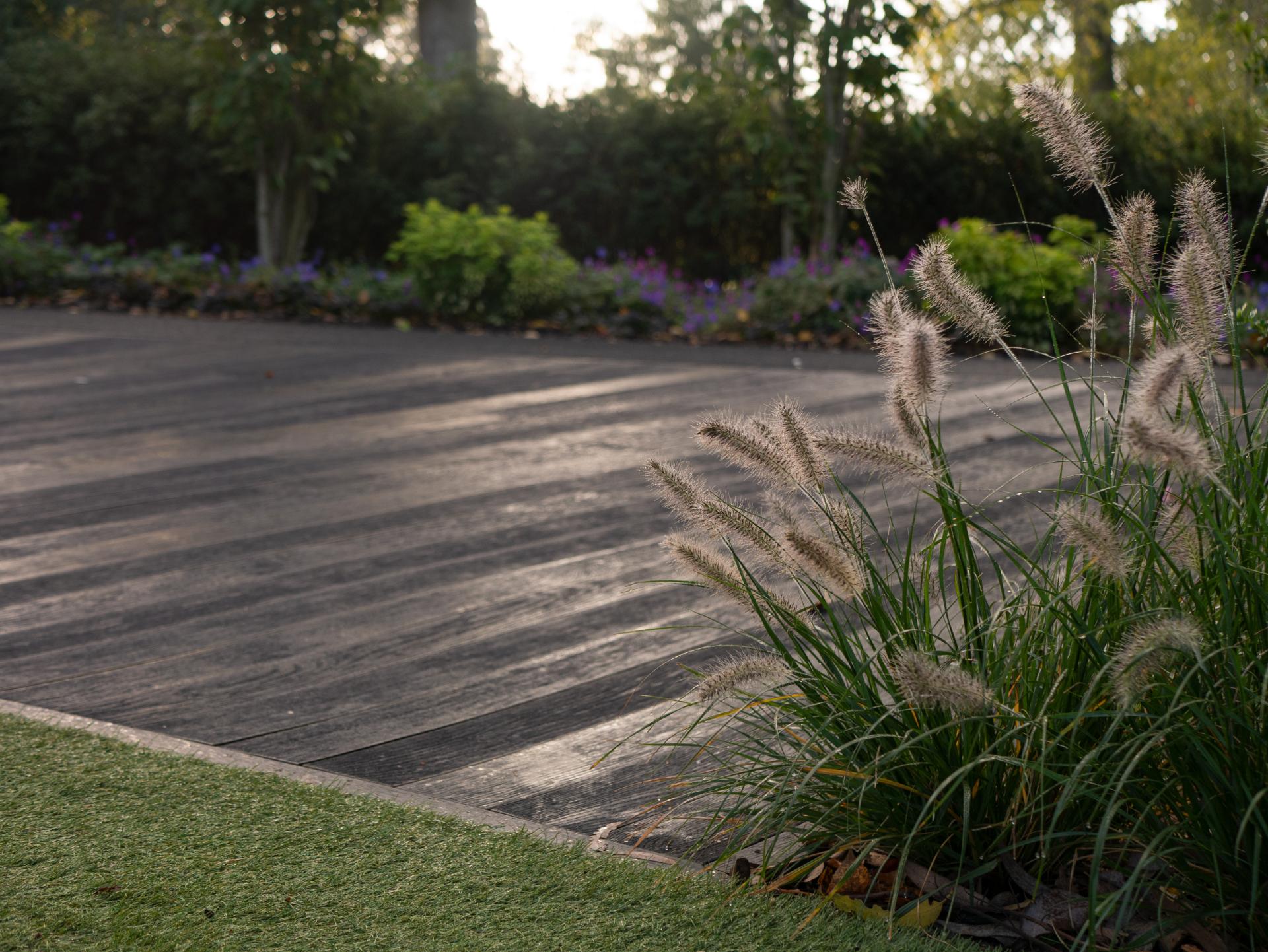 Modern wooden decking at Royal Botanic Gardens, Kew, with ornamental grasses and lush greenery enhancing the serene landscape.