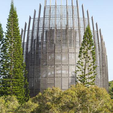 Renzo Piano-designed building with a unique wooden structure framed by surrounding tall trees and lush greenery.