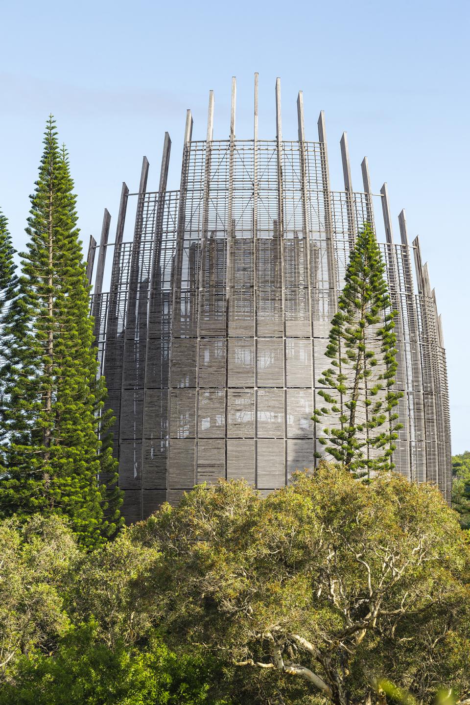 Renzo Piano-designed building with a unique wooden structure framed by surrounding tall trees and lush greenery.