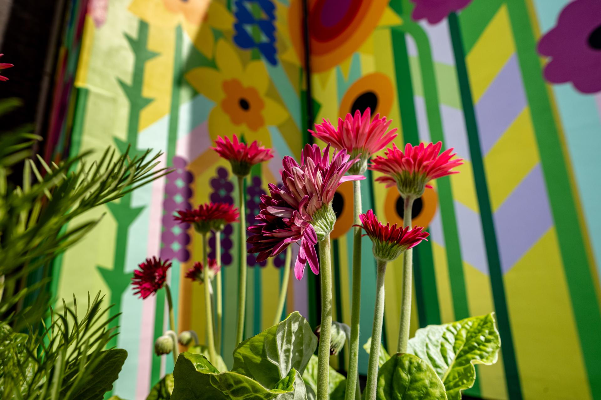 A joyful explosion of colour: Crown Paints collaborates with Morag Myerscough for National Festival of Making.