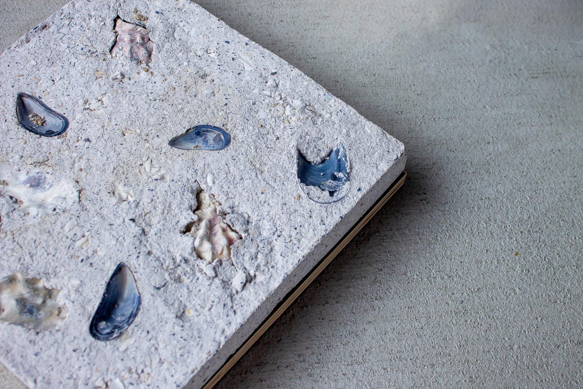 Biomaterial panel featuring embedded seashells, illustrating innovative low carbon and waste-based product design for sustainable architecture.