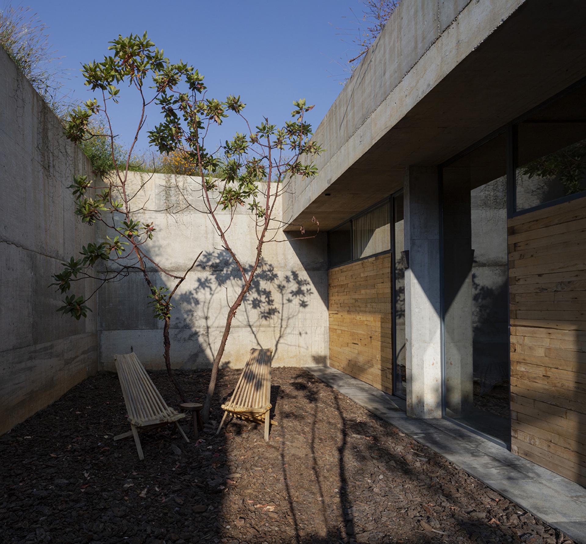 Modern Avocado House courtyard featuring minimalist wooden furniture, a tree, and minimalist concrete walls in a serene forest setting.