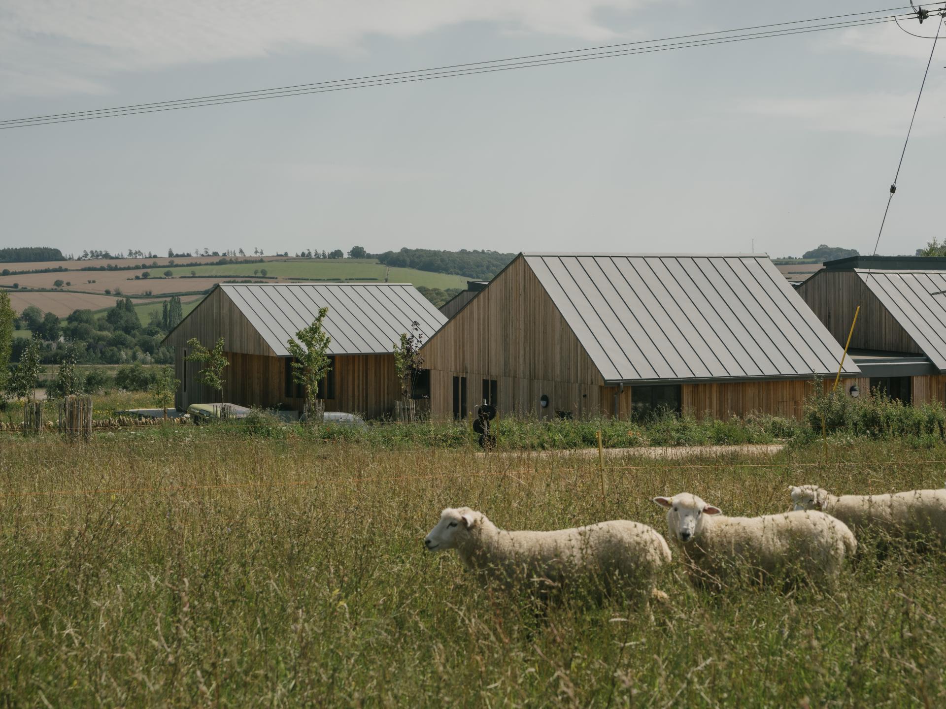 Sustainable farming education centre in the Cotswolds, featuring timber buildings and grazing sheep in a natural landscape.