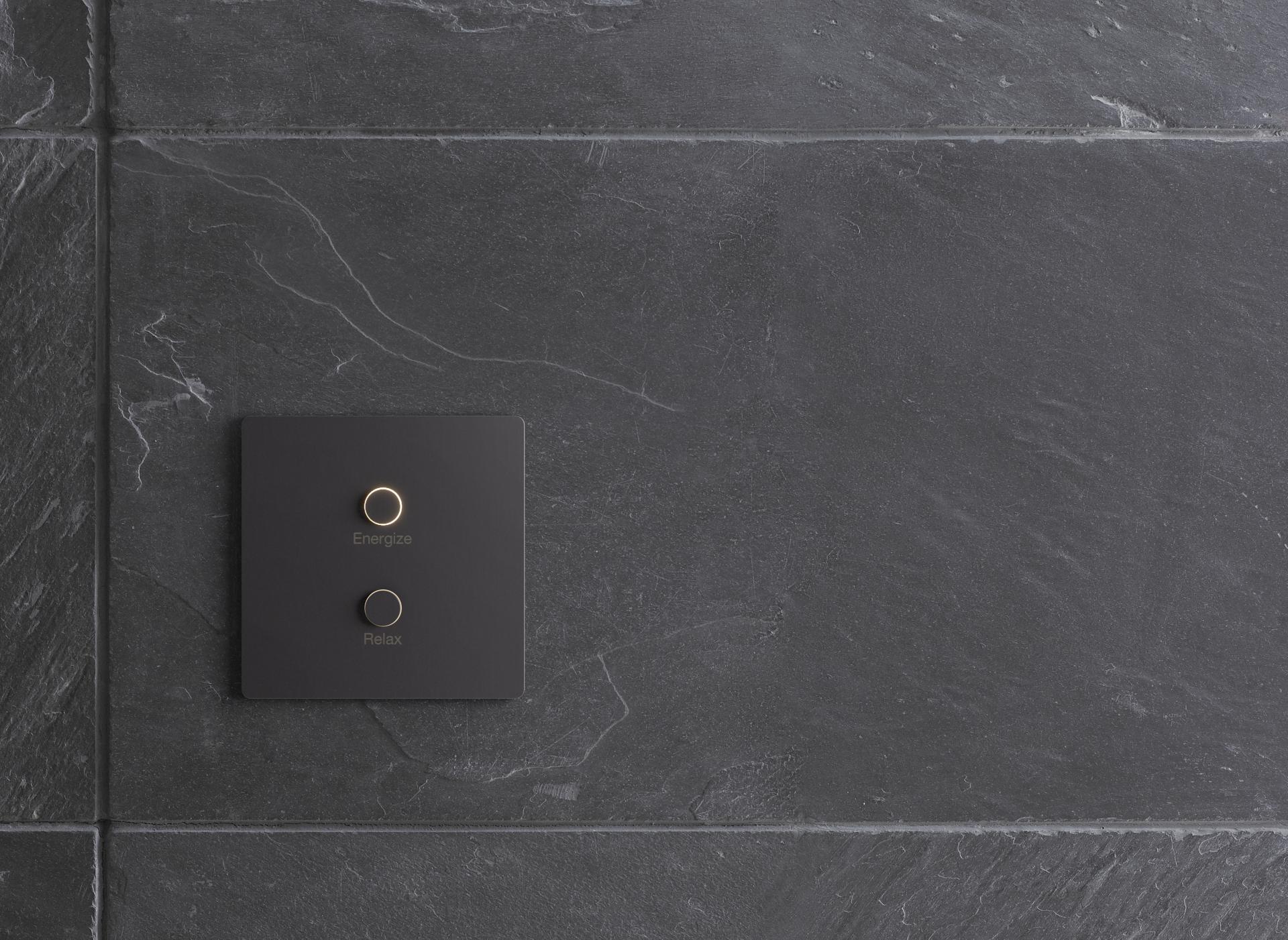 Sleek Lutron Alisse wall control featuring "Energize" and "Relax" buttons on a modern slate wall surface.