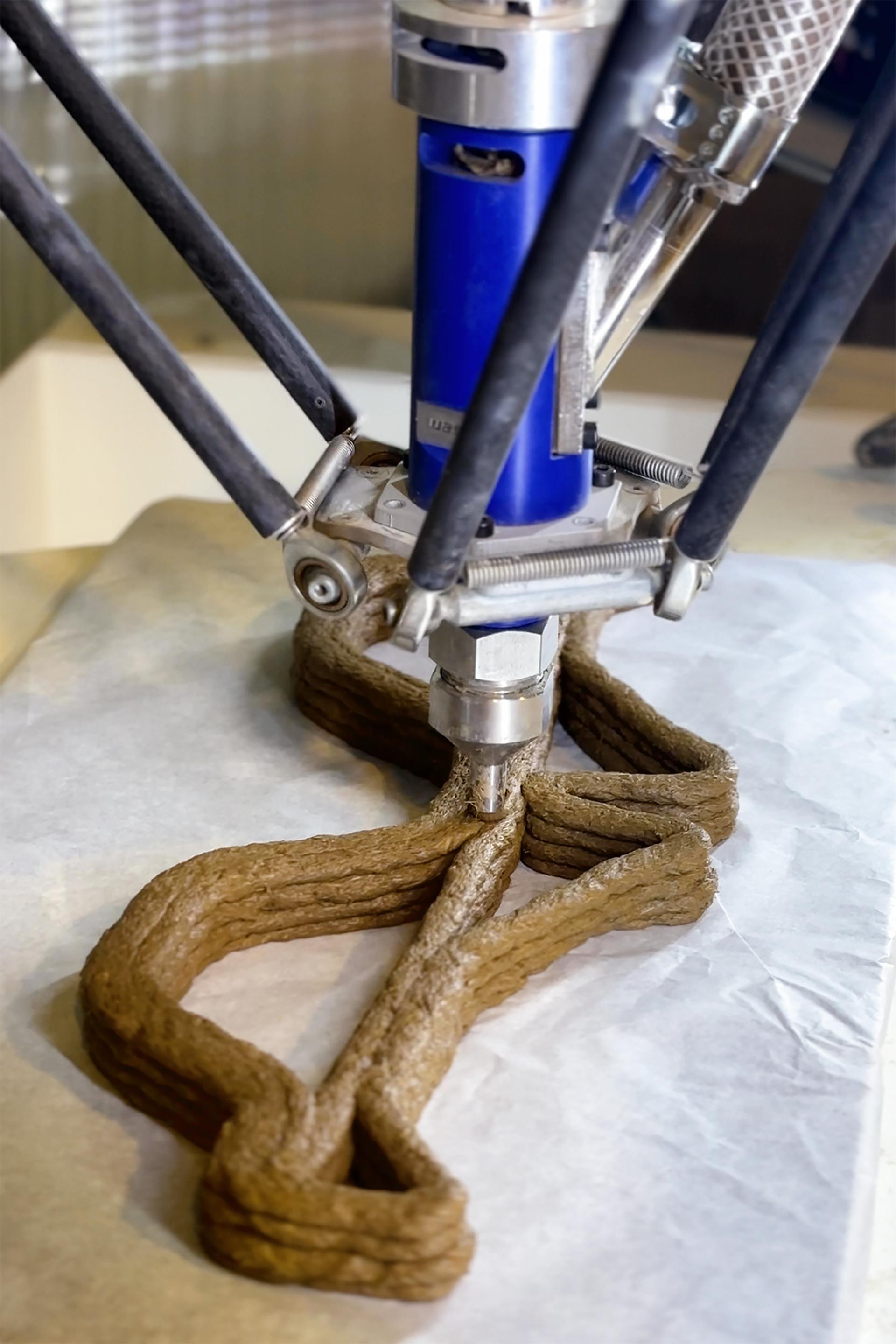 Lola Ben-Alon, assistant professor, Columbia University & director, Natural Materials Lab.