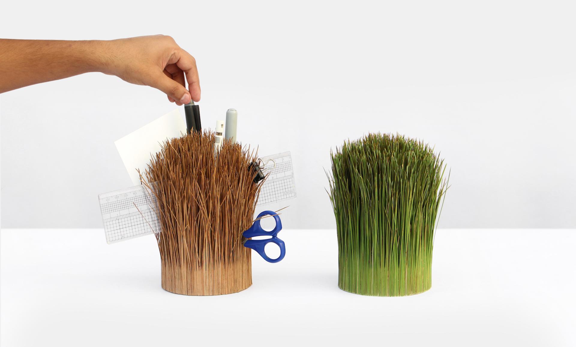 Unique desk organizers shaped like grass clumps, holding pens, scissors, and paper, illustrating creative vessel designs.