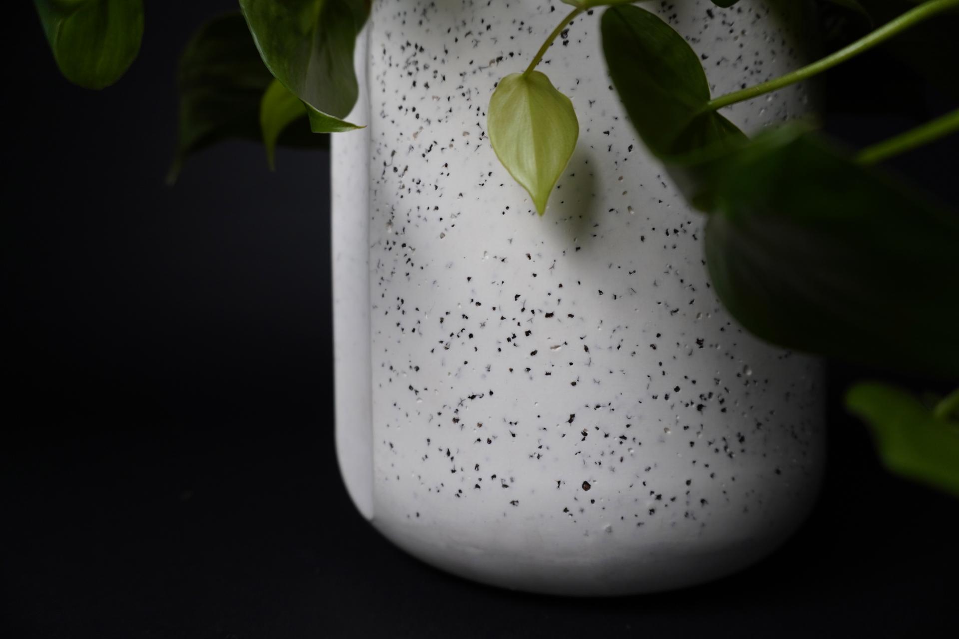 Textured white planter with black speckles, adorned with green foliage, representing sustainable design in biomaterials.
