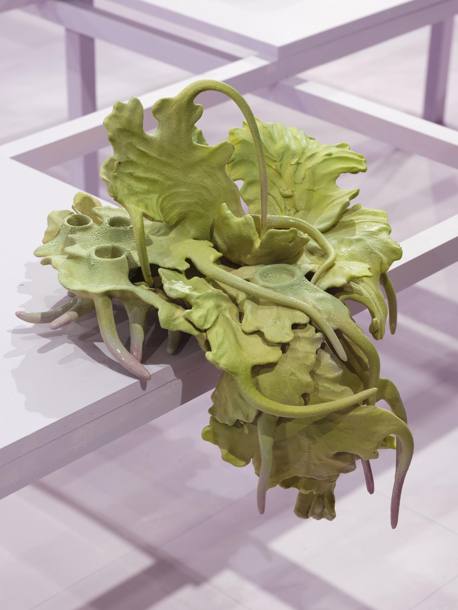 Undergrowth at County Hall Pottery: A material exploration into the hidden forces of the natural world.