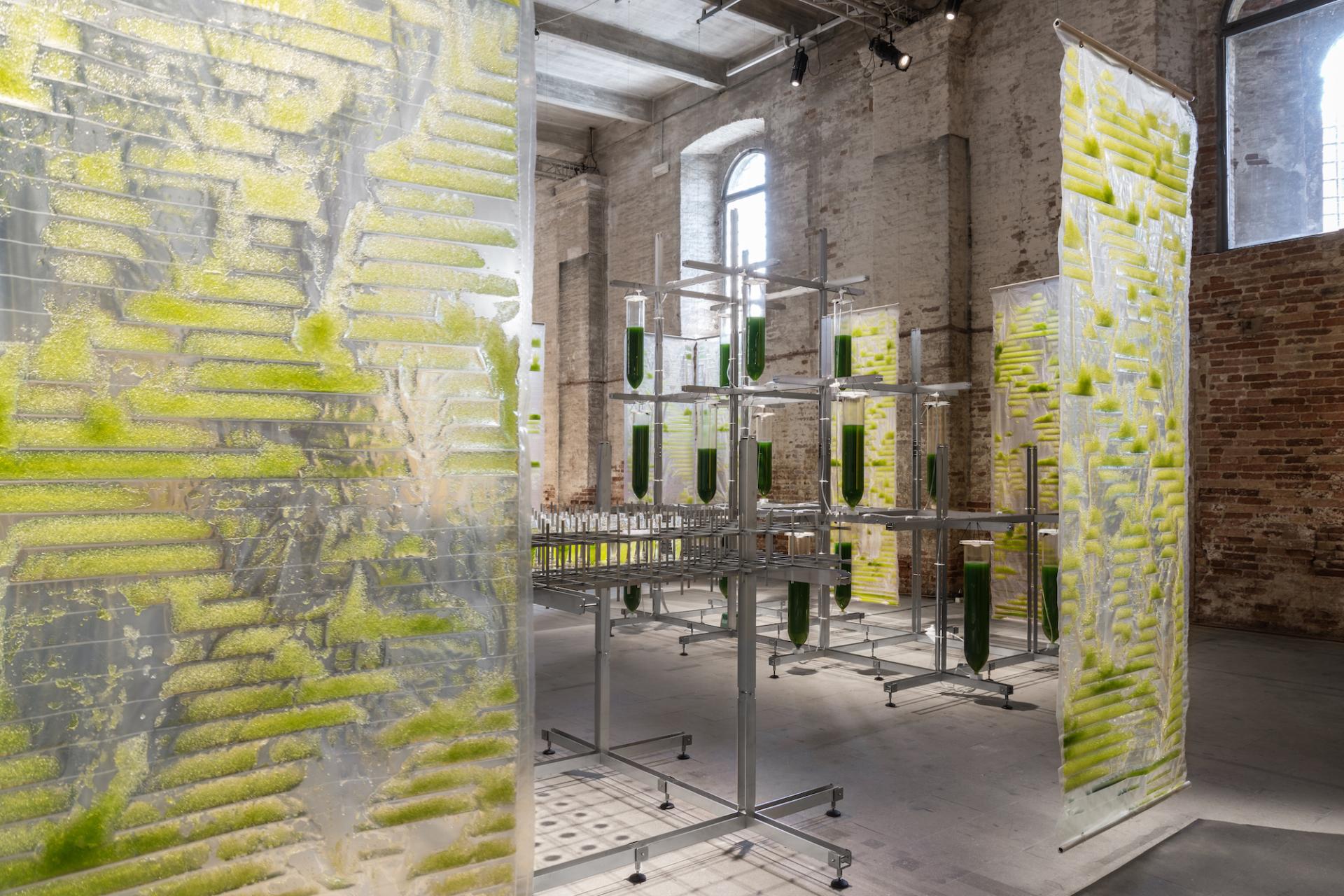 Biotech architecture installation featuring translucent panels with algae, experimental structures, and vibrant green elements in an industrial space.