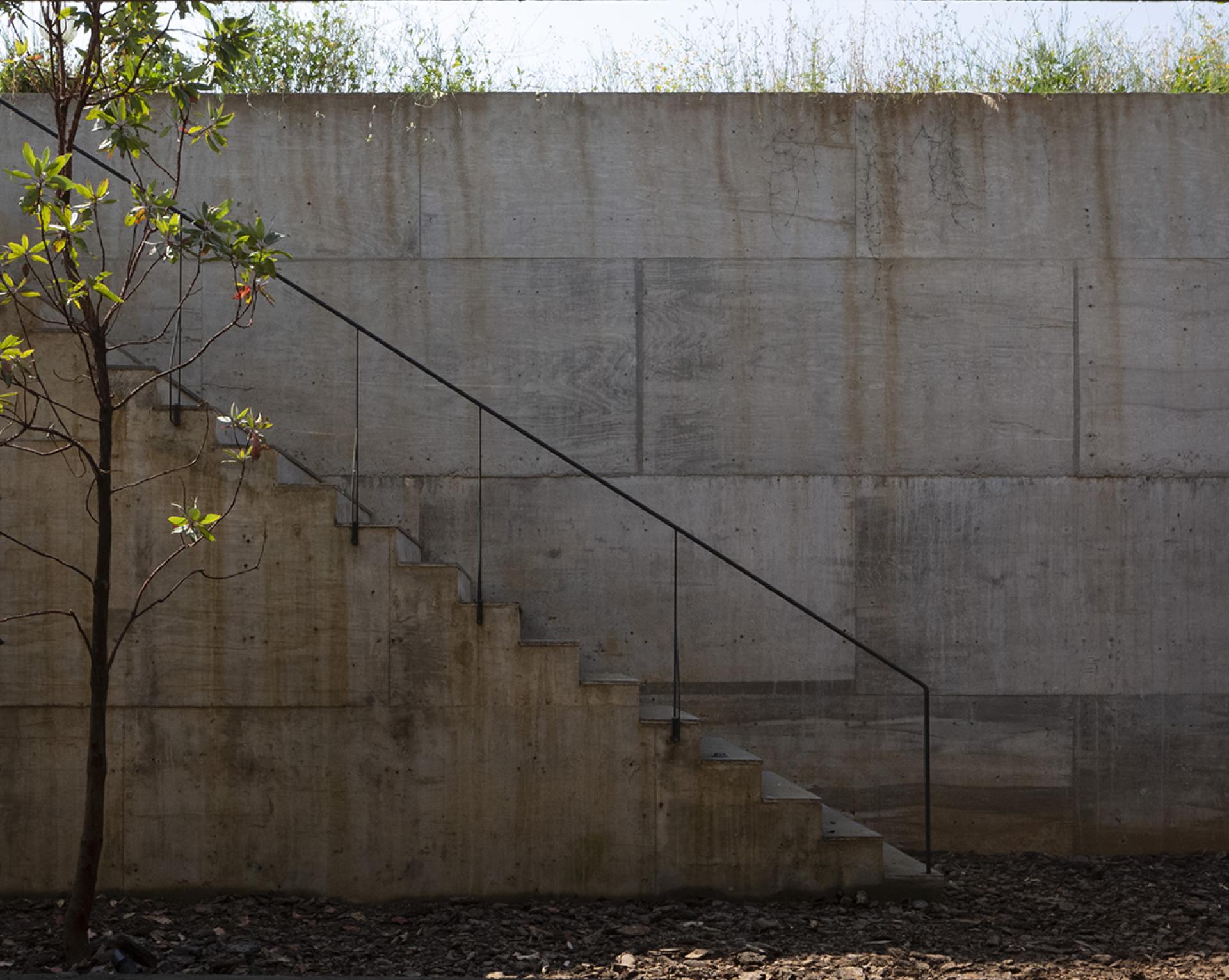 Concrete staircase leading to Avocado House, set against a textured wall surrounded by lush greenery in a Mexican forest.