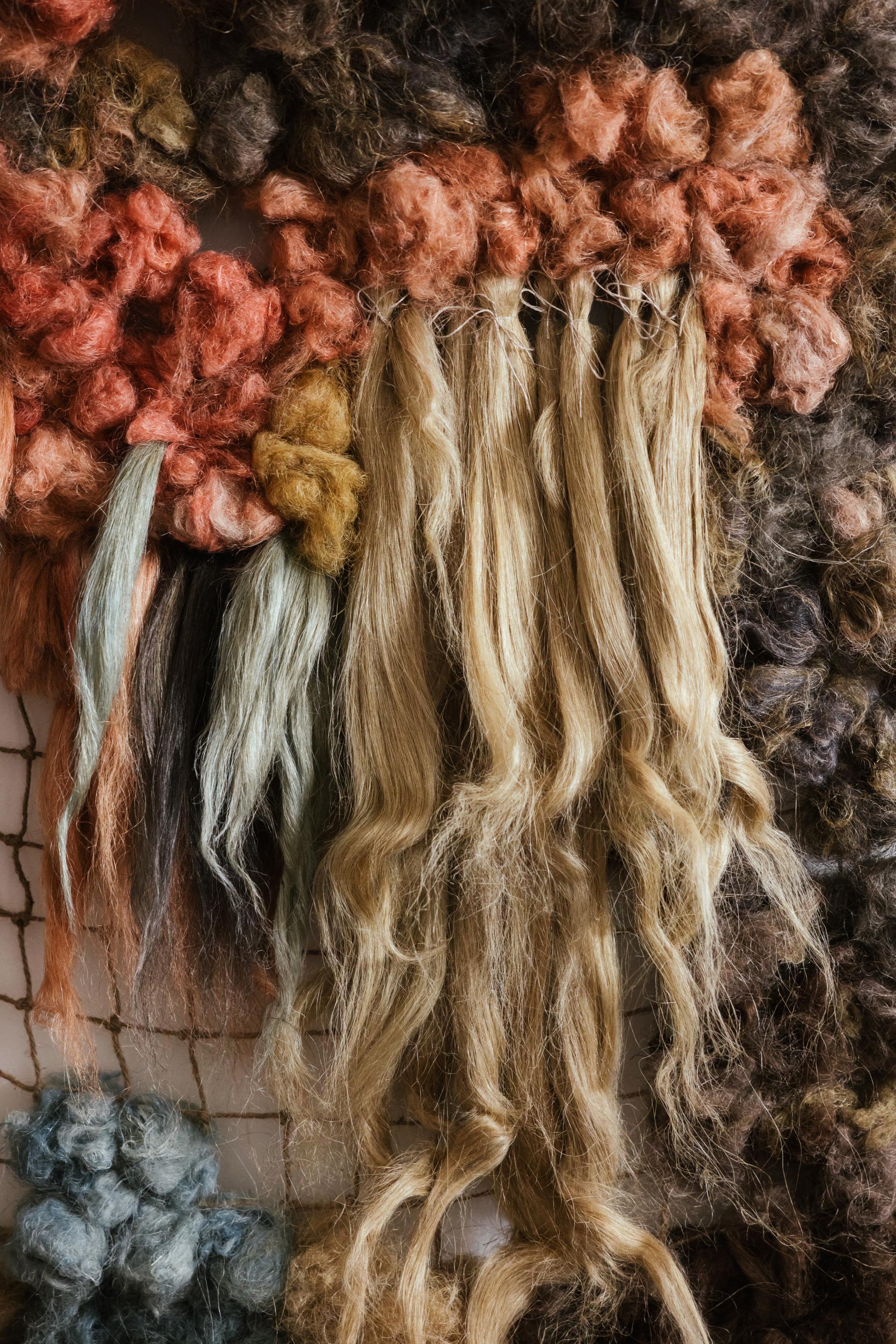 From regenerative tartans to silk-based architectural biobinders. Our 2026 graduate highlights.