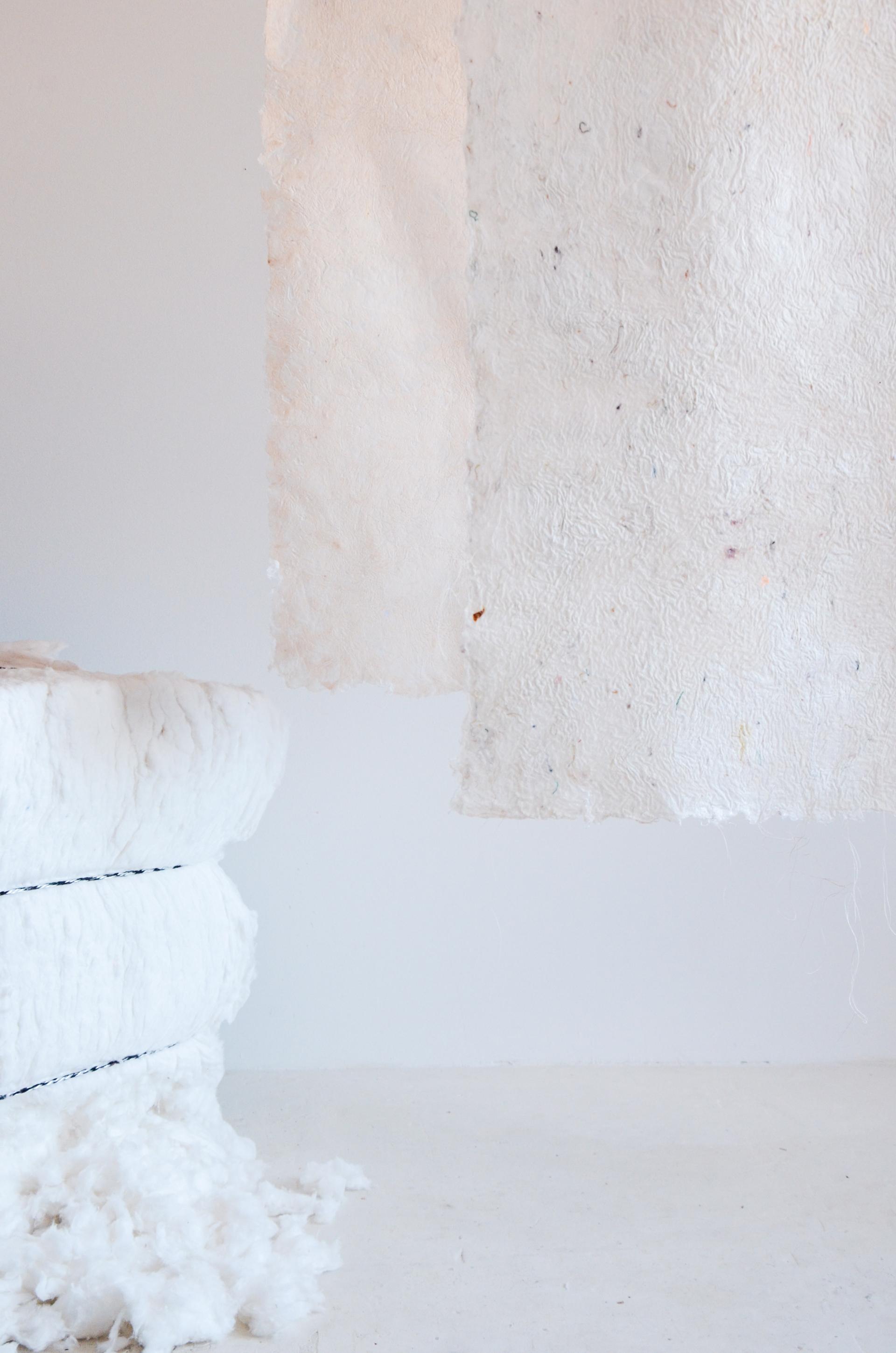 Biomaterial creations by Studio Sarmite, showcasing innovative design using reimagined waste and sustainable practices.