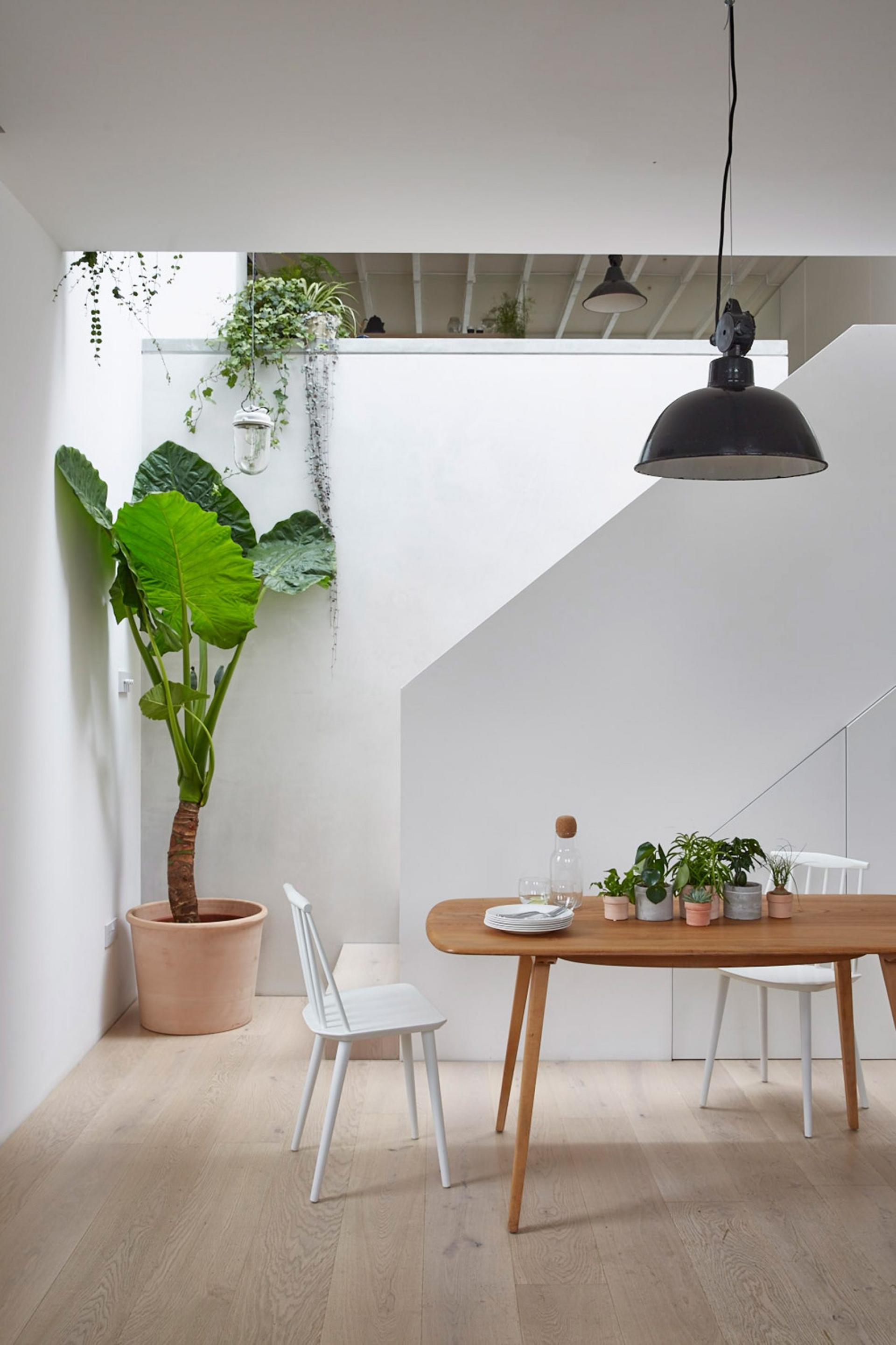 Calm interior featuring wooden dining table, white chairs, potted plants, and bright natural light in Hackney mews house.