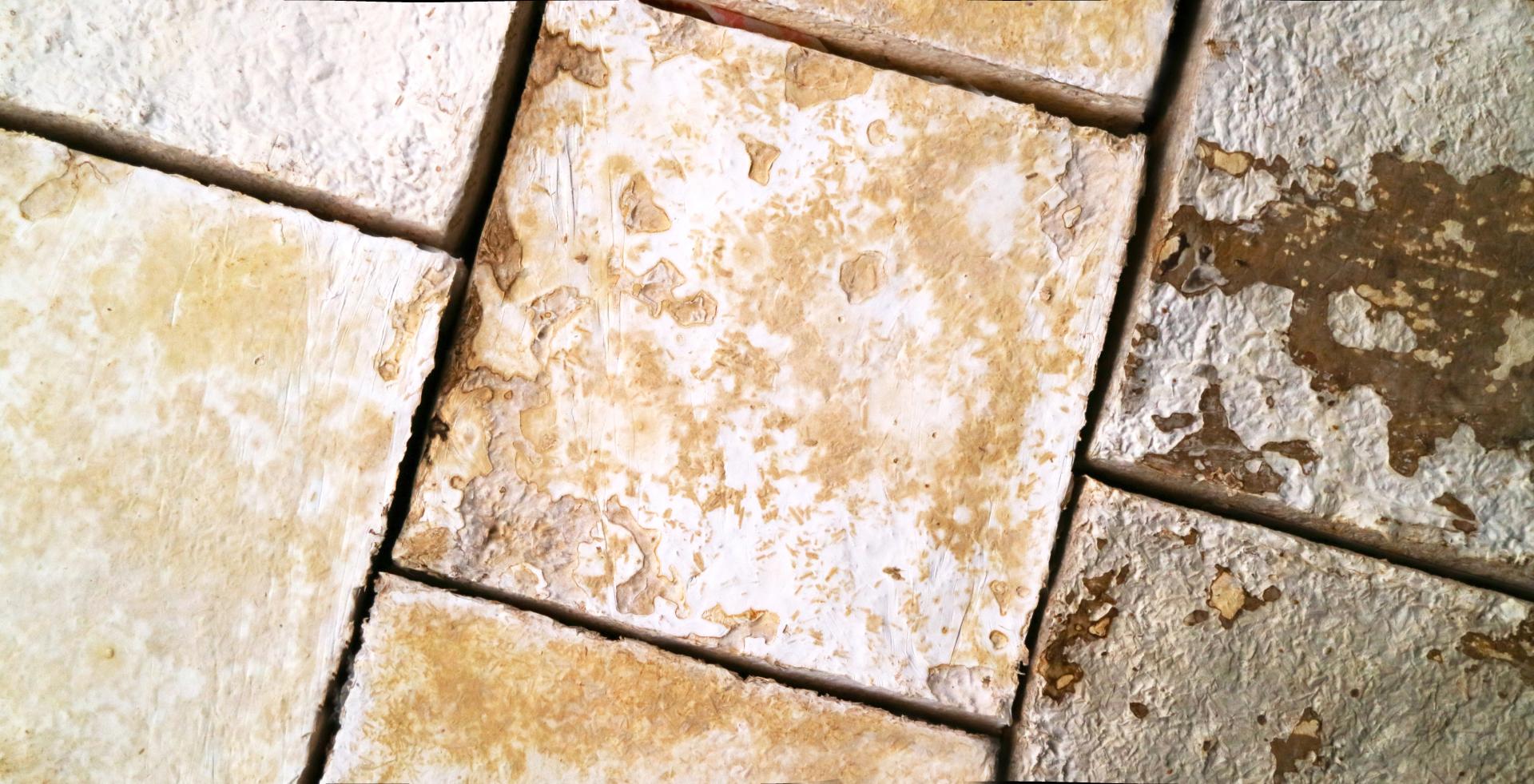Detailed view of textured, weathered tiles, symbolizing BIOHM's focus on natural innovation in its crowdfunding campaign.