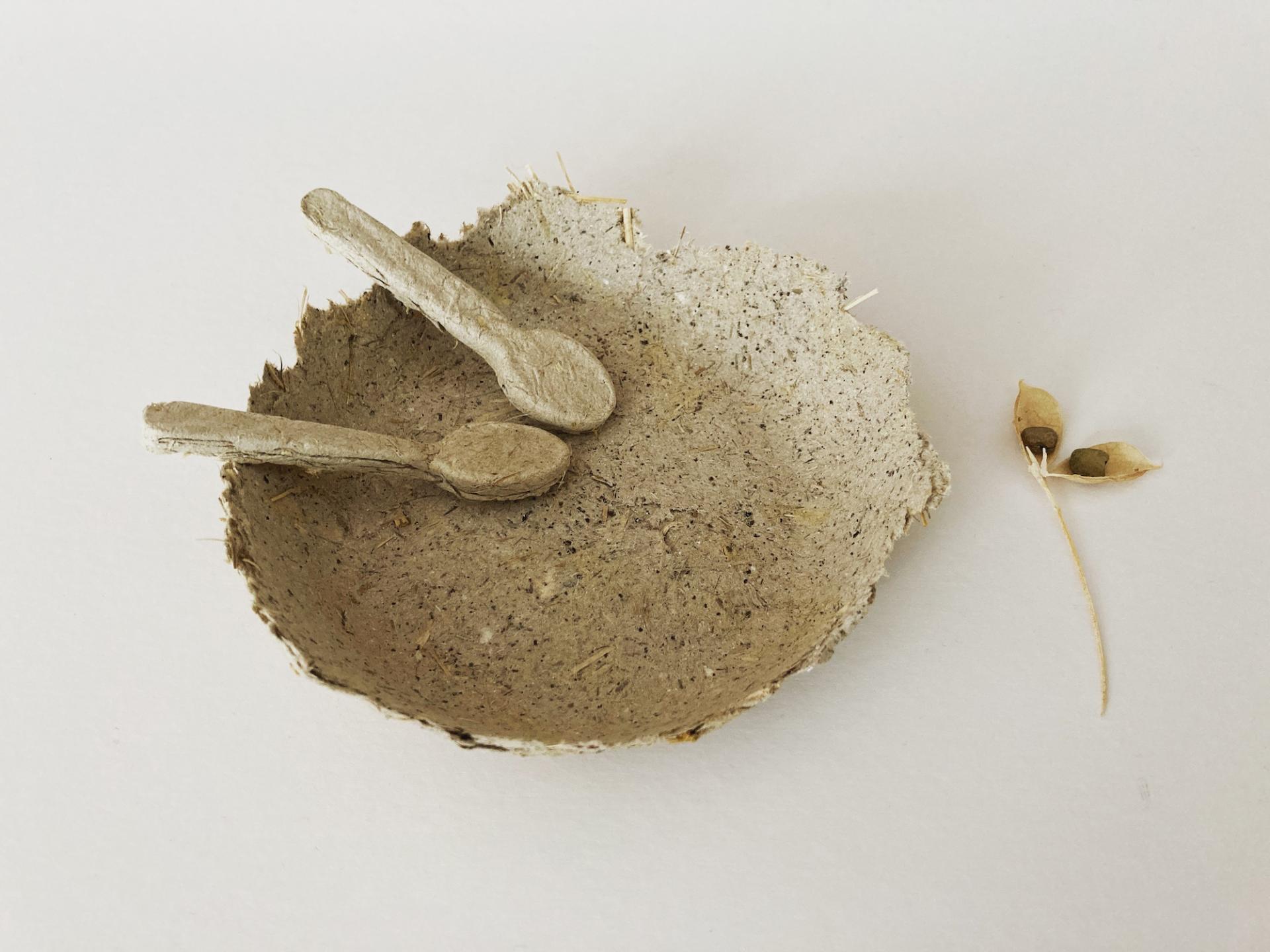 Top 23 biomaterial designers to watch in 2023.