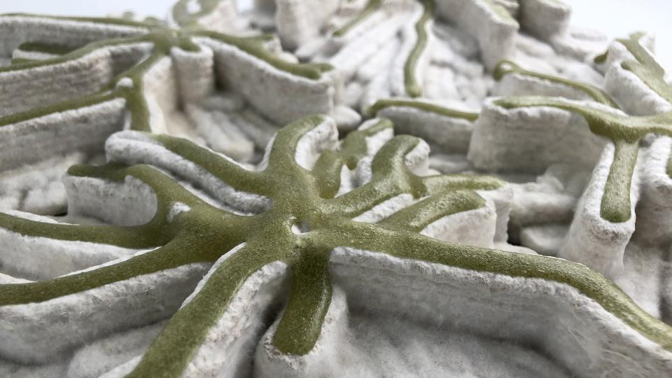 24 bio and by-product based materials for 2024.