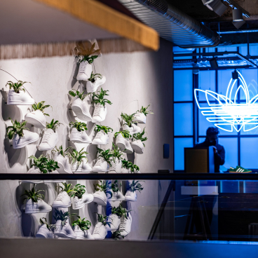 A wall display featuring white sneakers integrated with greenery at Adidas' sustainable flagship store in London.