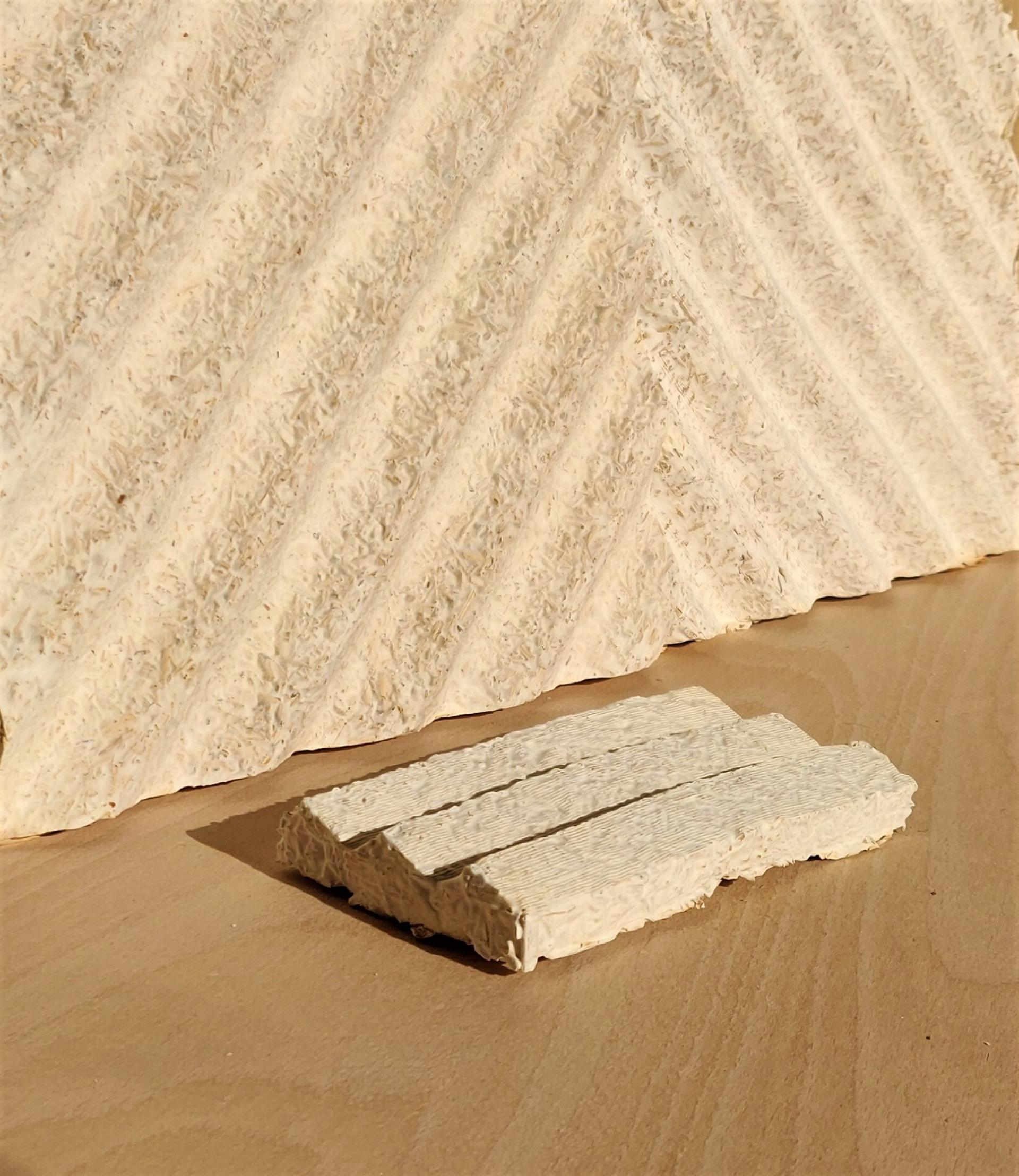 Biomaterials showcasing textured surfaces and innovative designs, highlighting cutting-edge advancements in sustainable material development.