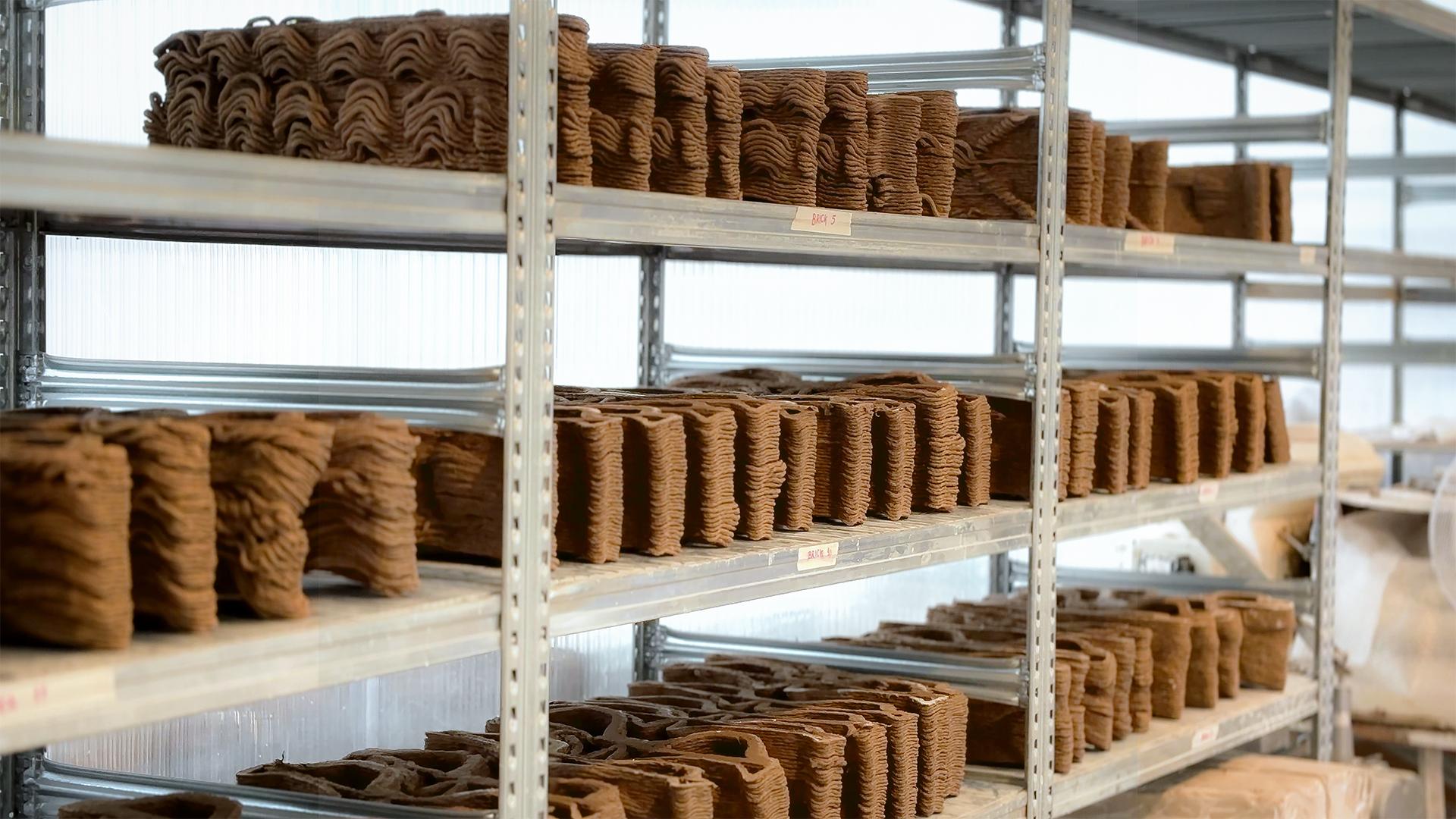 Lola Ben-Alon, assistant professor, Columbia University & director, Natural Materials Lab.