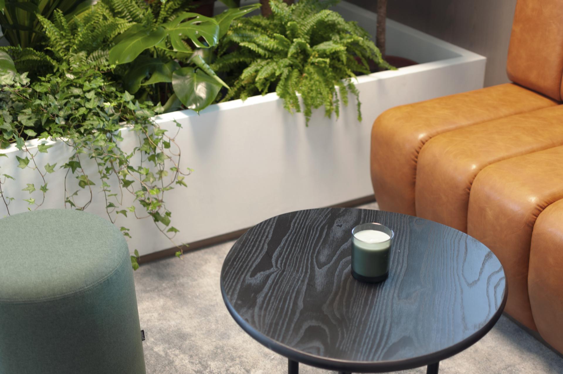 Modern office space featuring a cozy seating area with plants, a round table, and a candle at Warner Music Hong Kong.