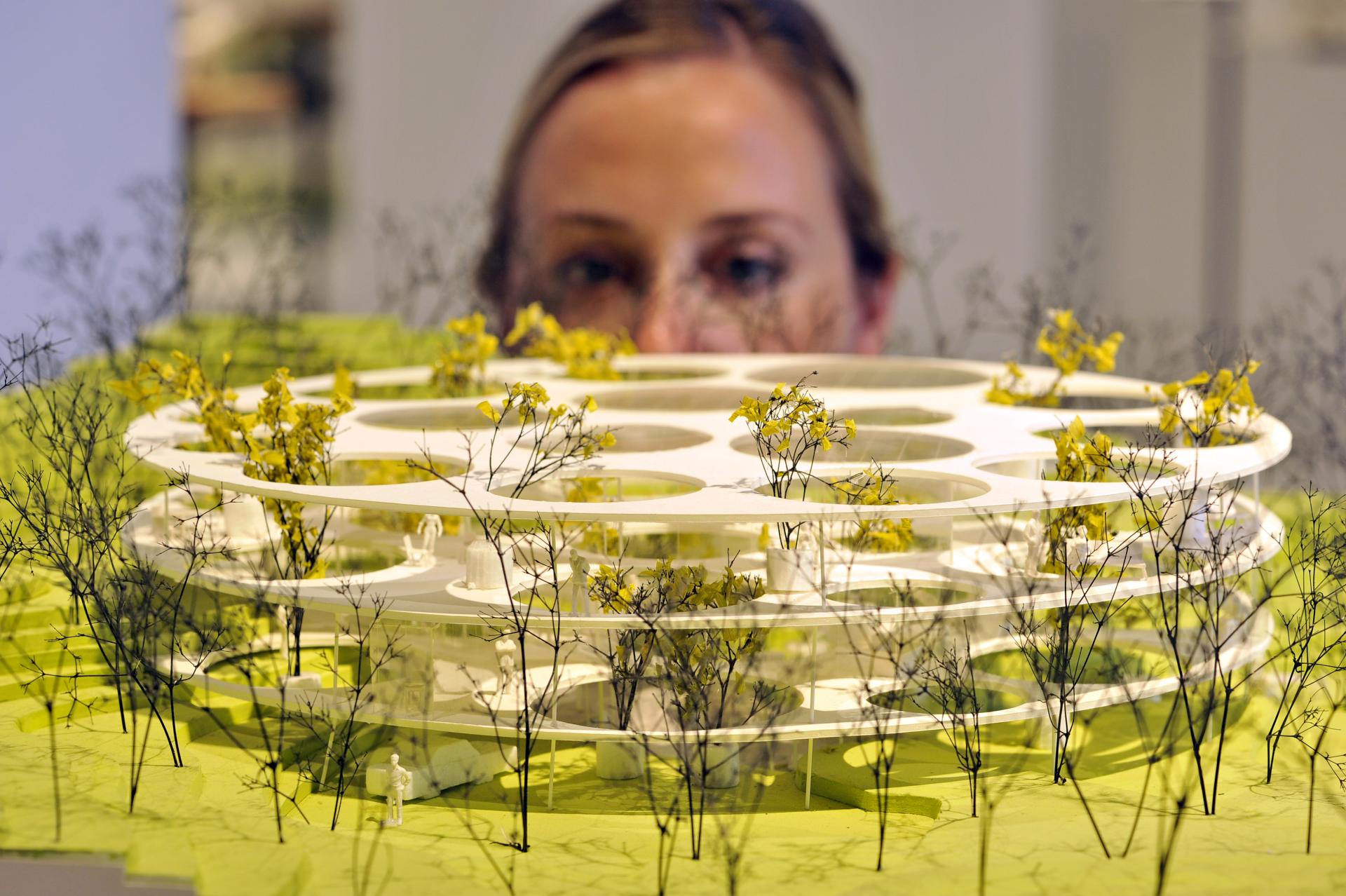 Architectural model showcasing Sou Fujimoto's innovative design, surrounded by miniature trees and flowers at Japan House London exhibit.