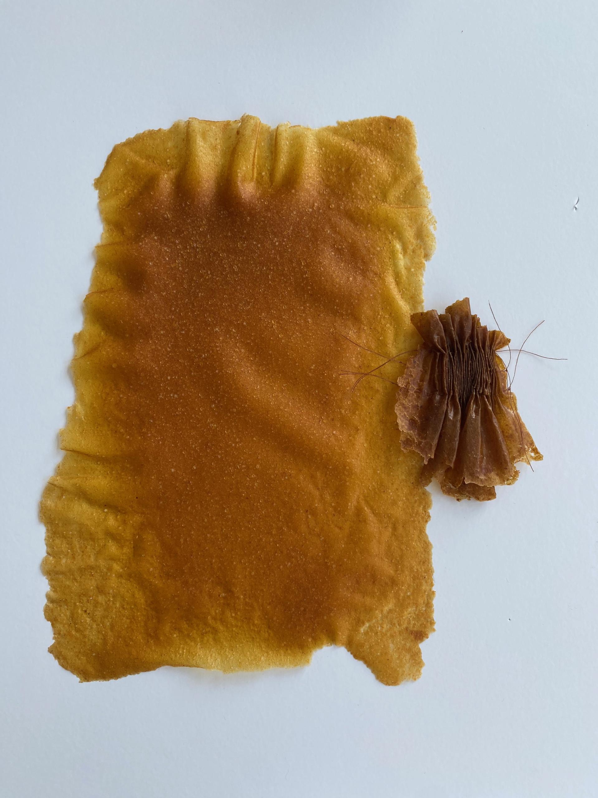 Unique natural materials displayed at New Designers 2024, showcasing innovative textures and designs in contemporary design.