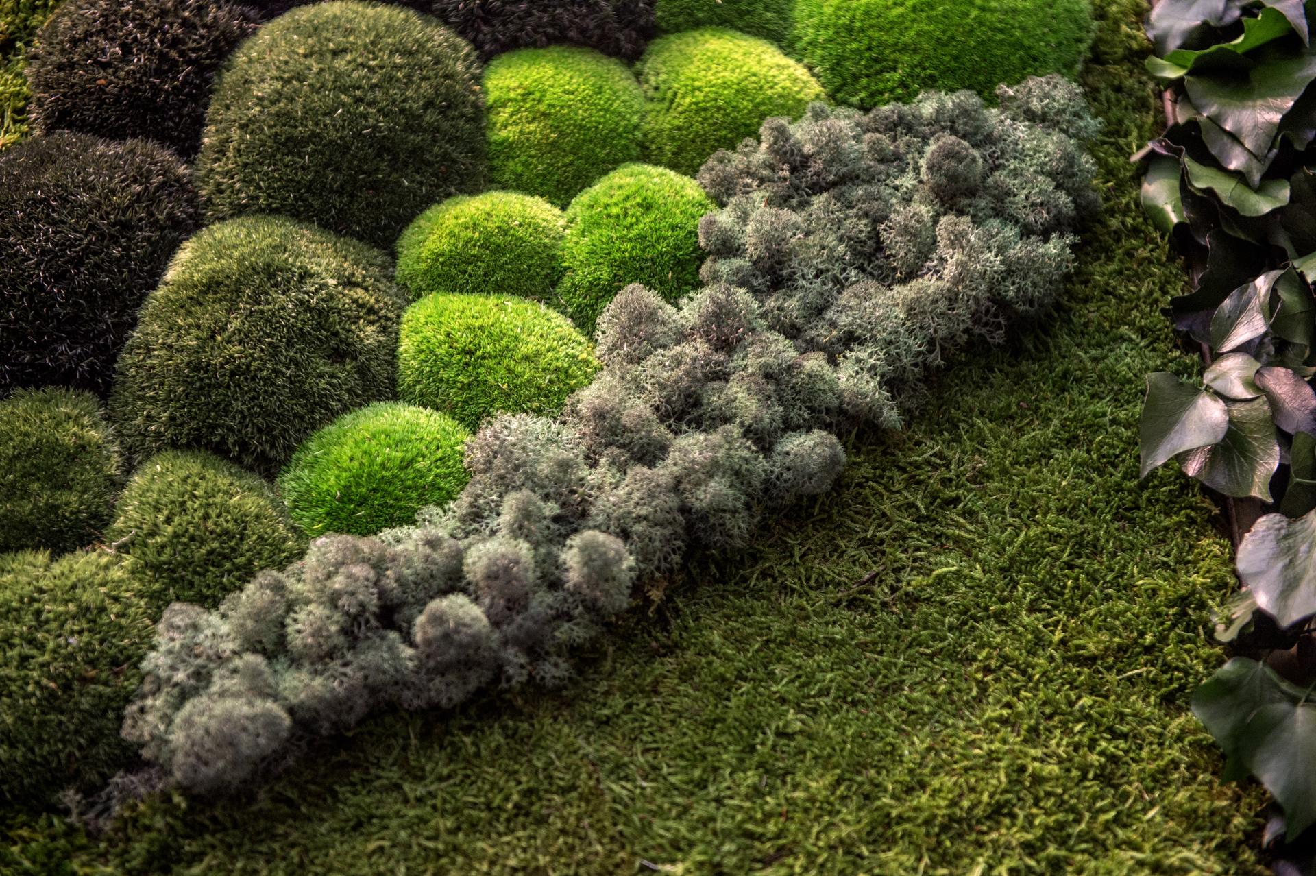 Innovative surface design featuring diverse green textures and moss arrangements showcased at the Surface Design Show 2020.