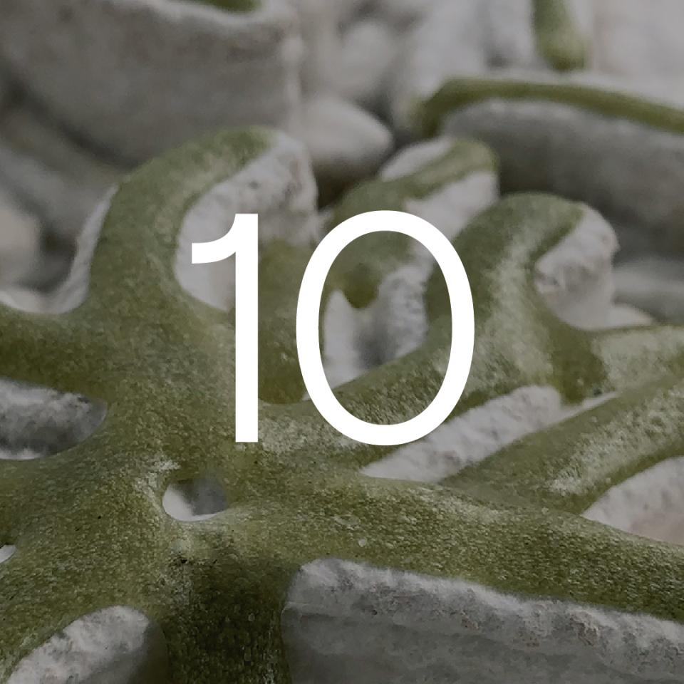 Close-up of green mycelium and algae-based tiling design illustrating innovative bio-material technology in sustainable interiors.