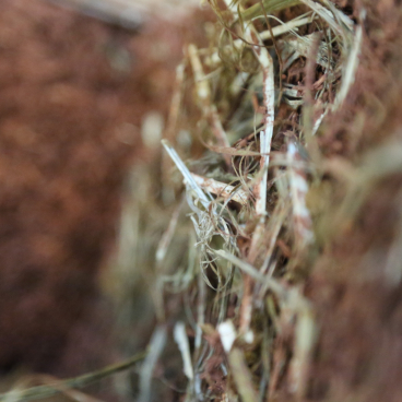 Close-up of cob material, showcasing natural fibers and earth used in traditional cob house construction techniques.