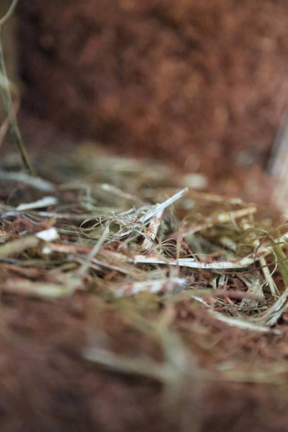 Close-up of cob material, showcasing natural fibers and earth used in traditional cob house construction techniques.