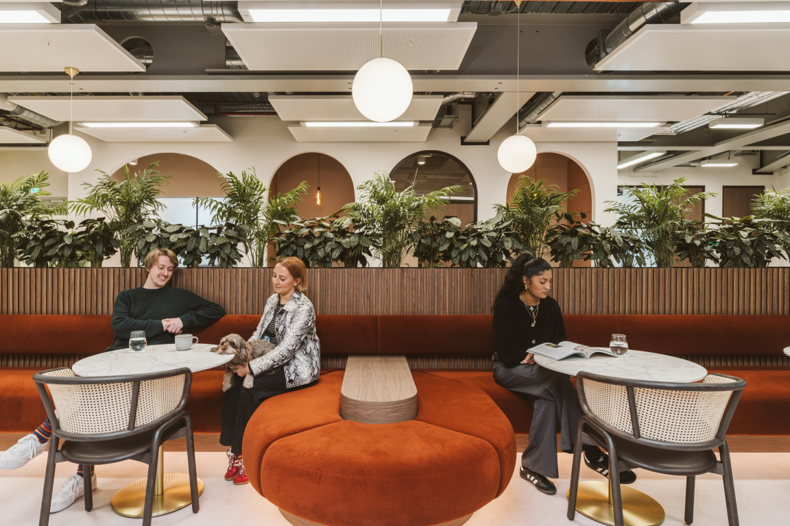 Modern workspace designed for Butternut Box featuring humans and dogs in a vibrant, plant-filled environment.