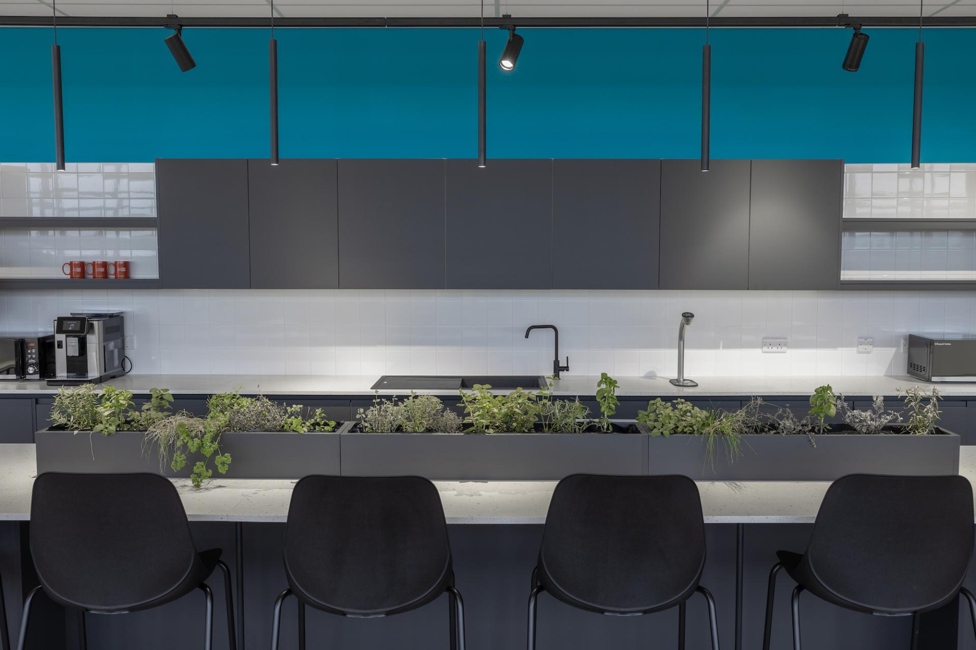 Modern kitchen design featuring a sleek black countertop, herb planter, and contemporary appliances in a creative workspace.