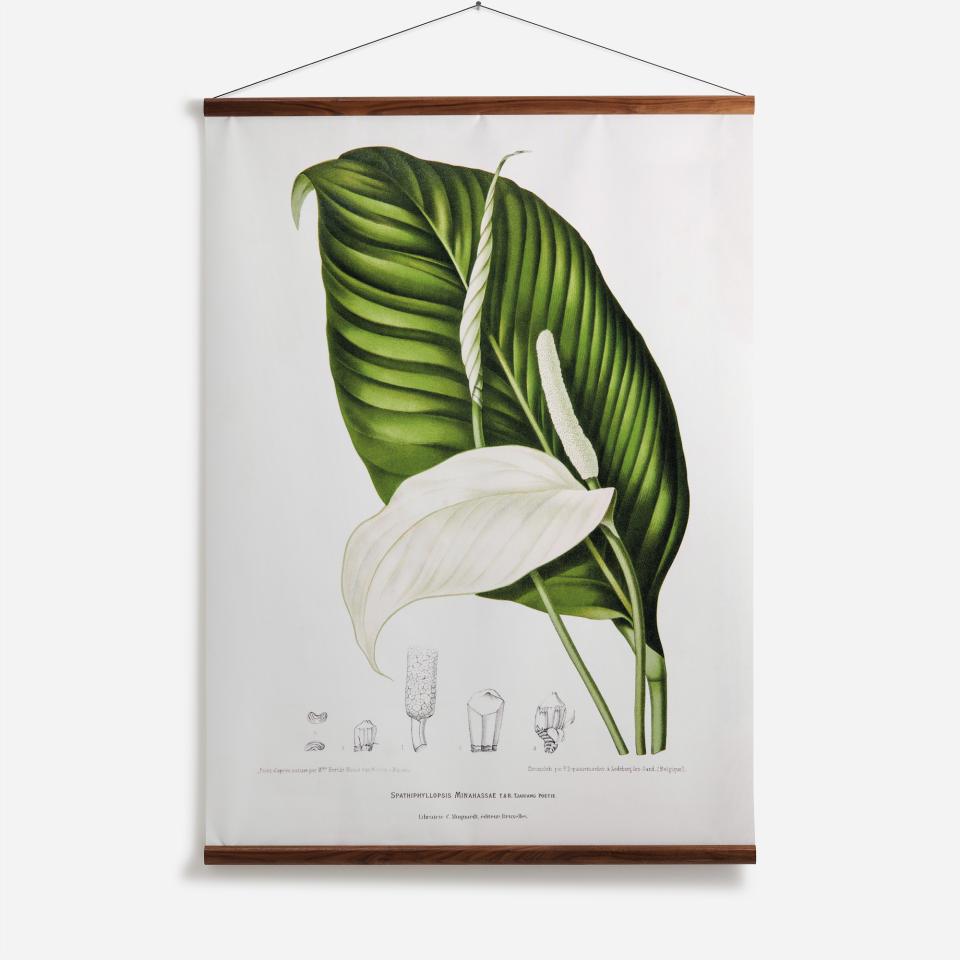 Botanical print featuring lush green leaves and a white flower, highlighting nature's beauty for surface design inspiration.