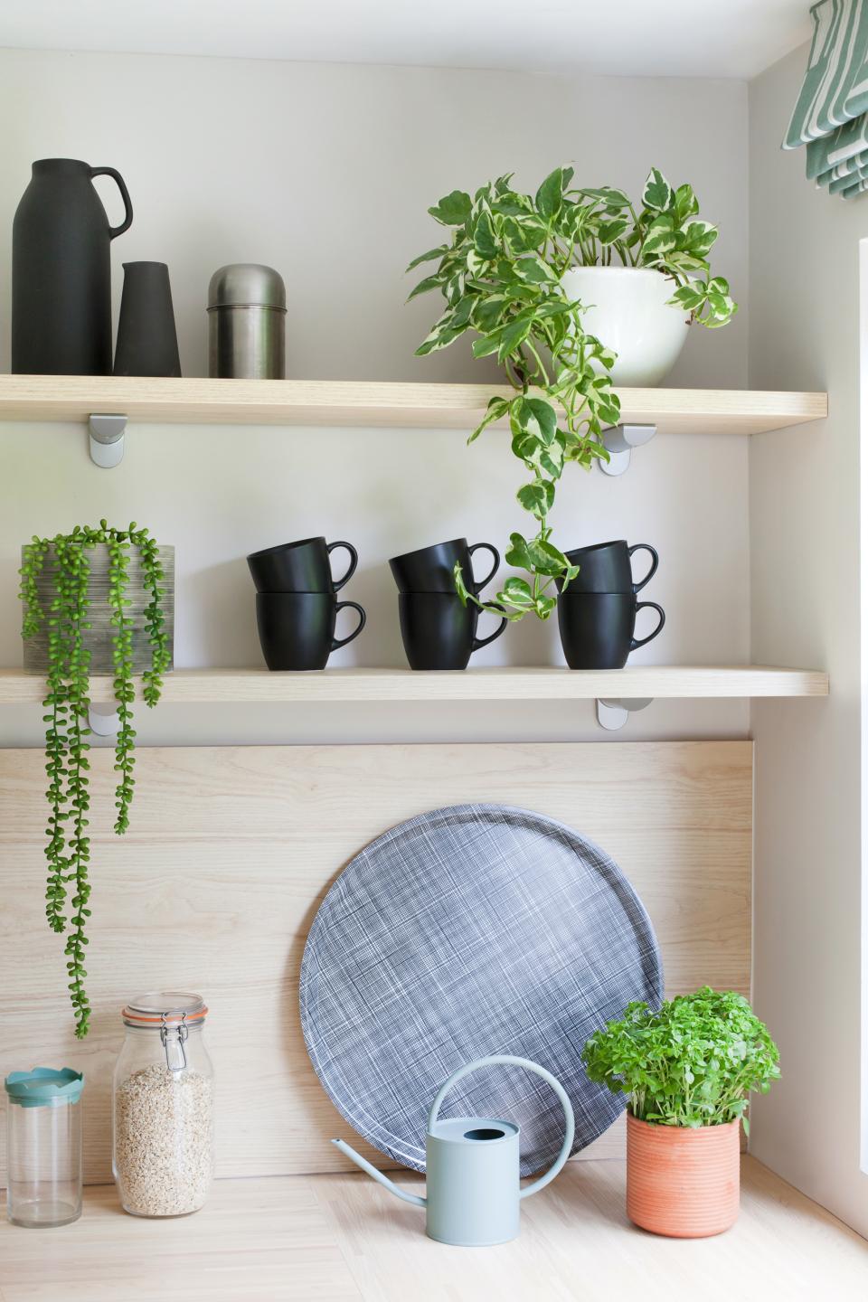 Stylish Scandi Industrial kitchen shelf featuring black mugs, leafy plants, and modern design accents for a family home.