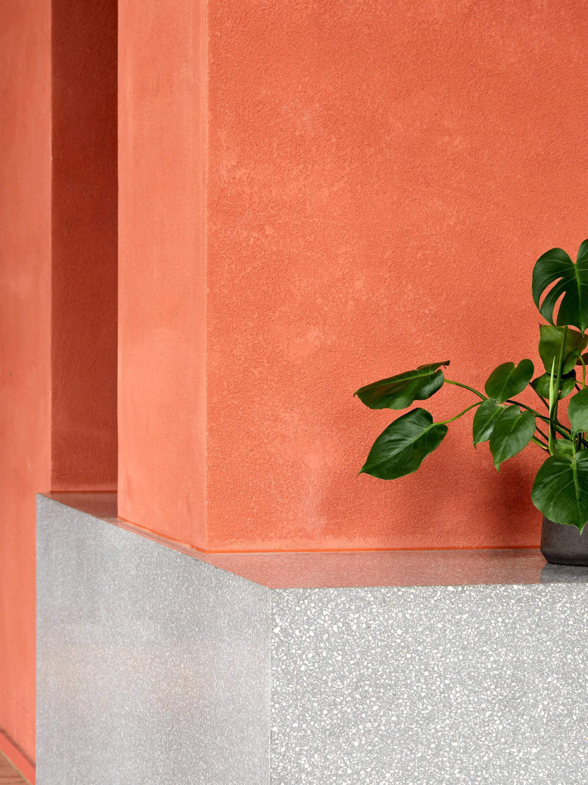 Textured coral wall with a gray surface and a potted green plant, showcasing interior design elements by NoChintz.