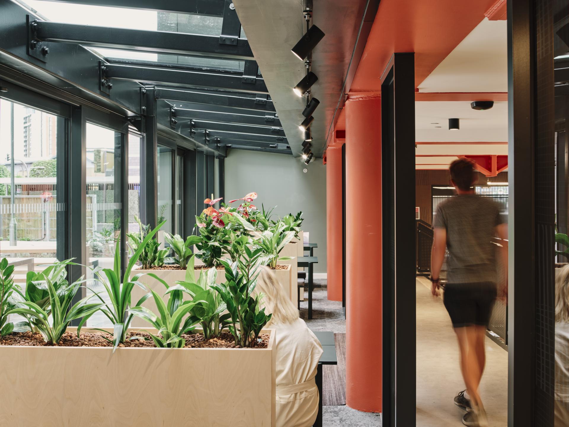 Brightly lit indoor space featuring greenery and modern design, reflecting Jasper Sanders' innovative approach in workspace design.