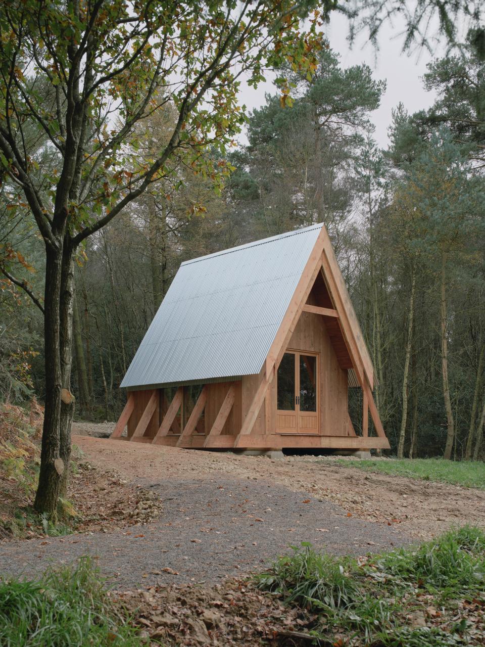 Clearfell House, an innovative timber structure, nestled in a forested landscape showcasing underutilised British timber species.