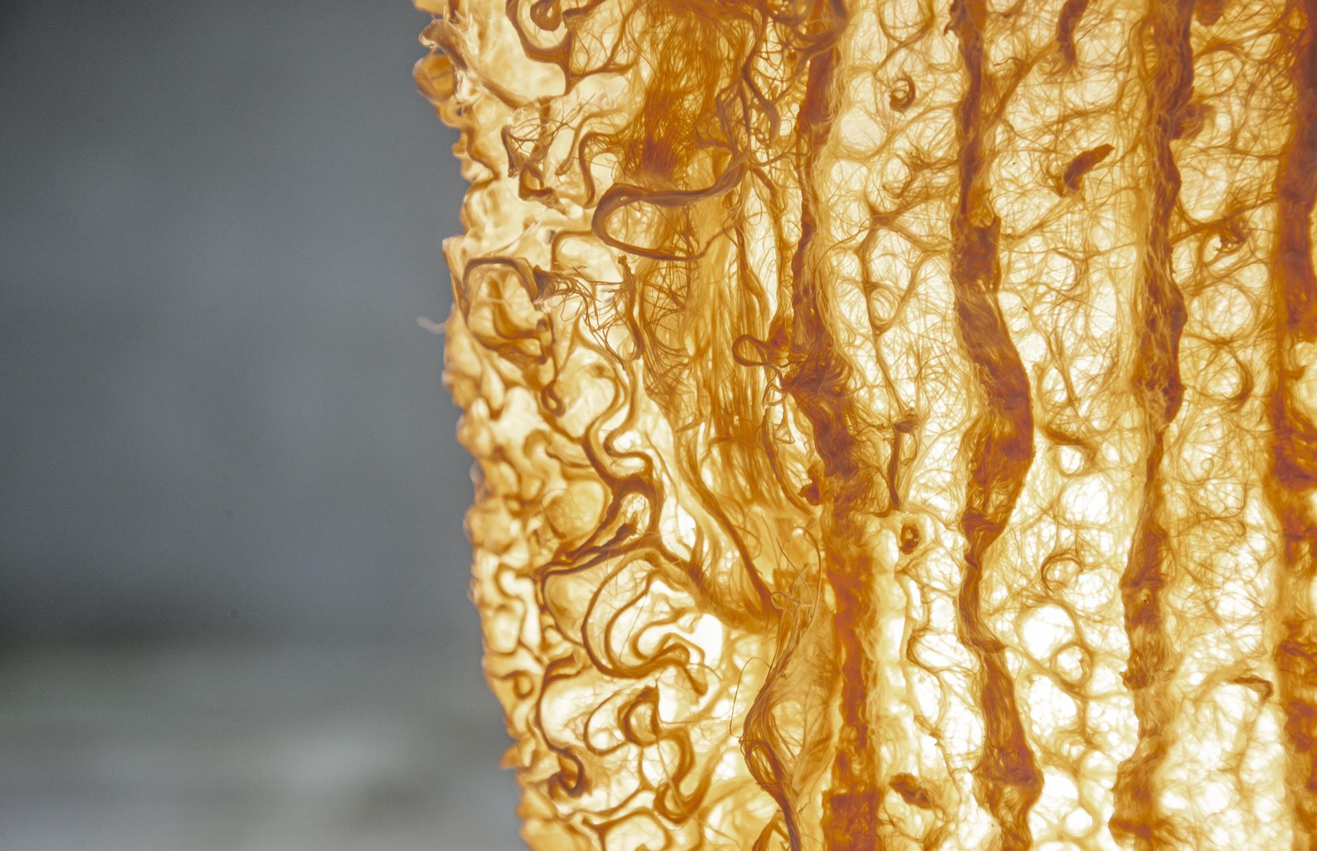 Translucent, organic material with intricate, flowing textures, showcasing the blend of design and nature in Rootfull project.