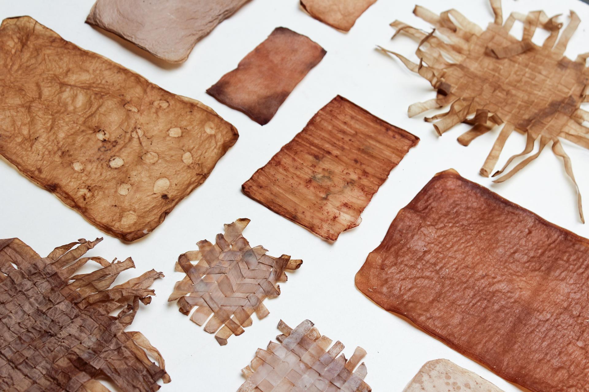 Future Materials Library™ launches at Material Source Studio.