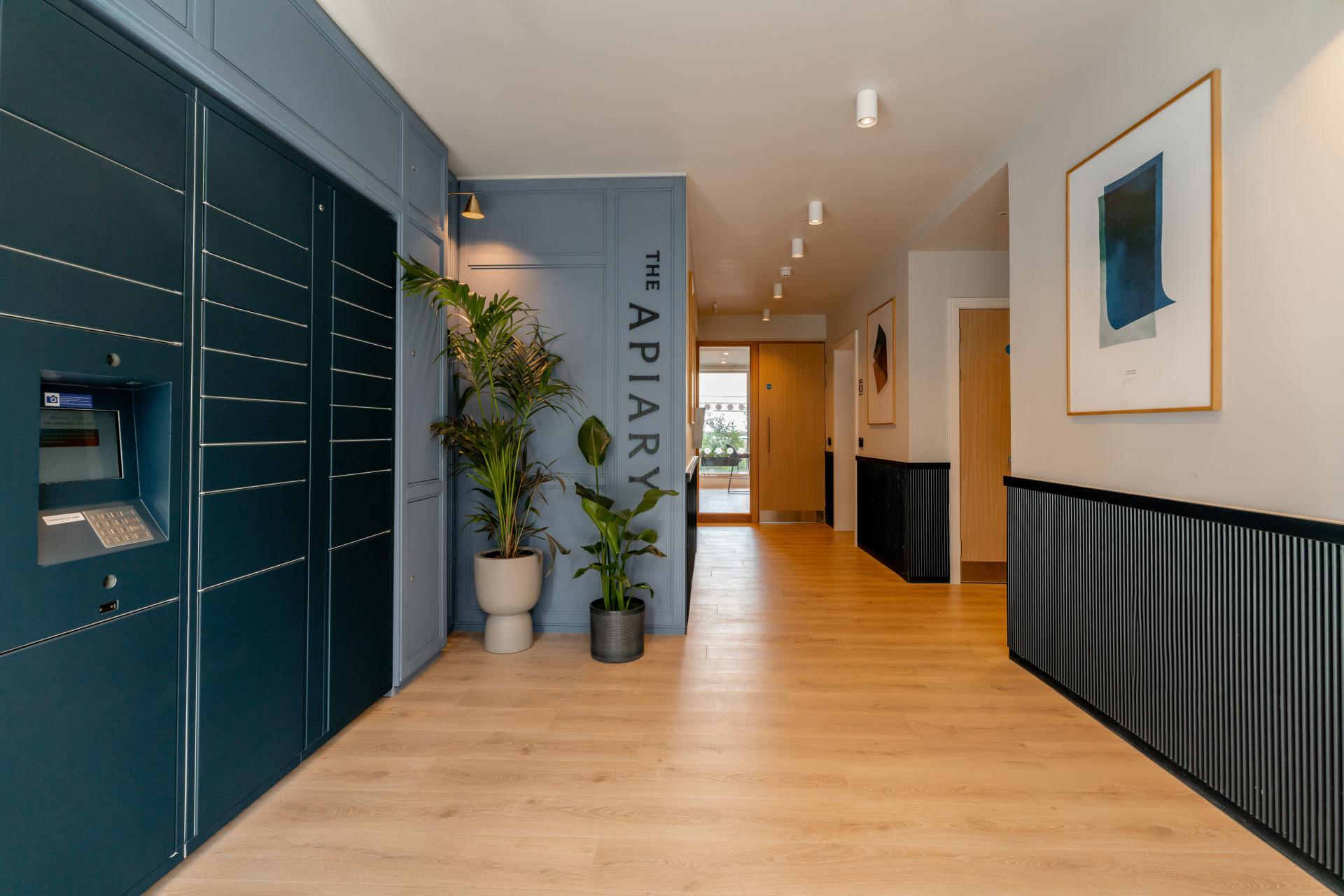 Stylish interior of The Apiary co-living project, featuring modern design elements and welcoming atmosphere.