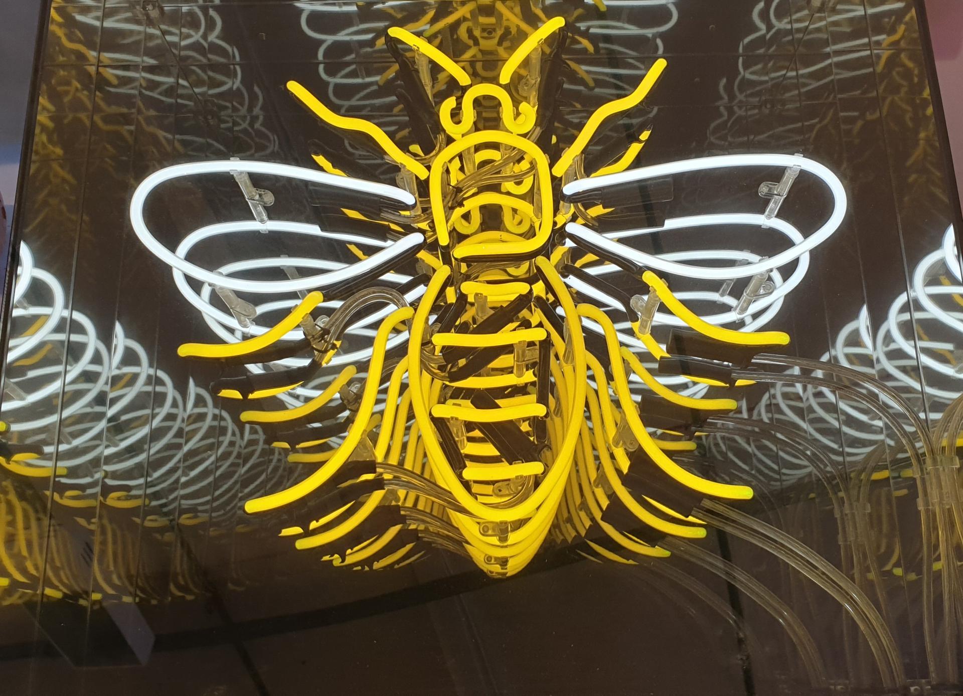 Neon sign of a bee, showcasing vibrant yellow and white tubing, highlighting modern neon art in 2022.