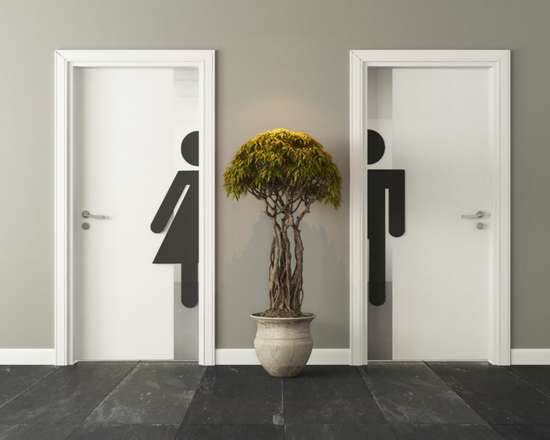 Stylish restroom doors with gender symbols, accompanied by a decorative potted plant in a modern interior setting.