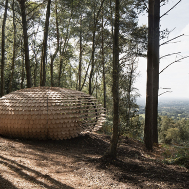 Organic pavilion by Giles Miller nestled in Winterfold Forest, surrounded by trees and overlooking lush greenery.