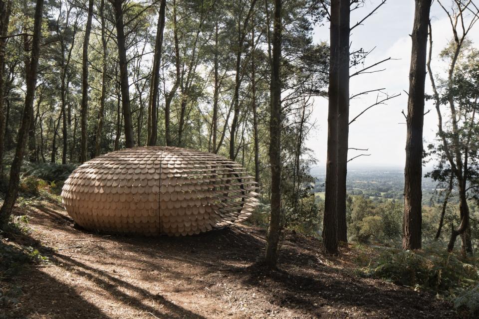 Organic pavilion by Giles Miller nestled in Winterfold Forest, surrounded by trees and overlooking lush greenery.